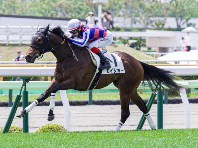 【函館2歳S】カイショー、ブラックチャリスらが登録