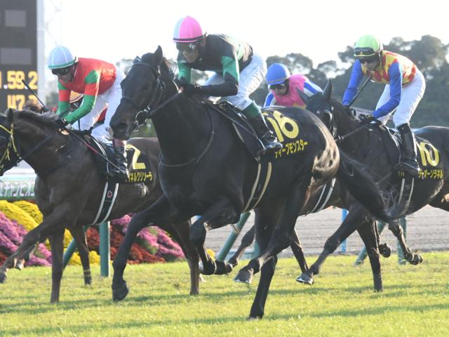 開催最終日に小倉記念と函館2歳S/今週の競馬界の見どころ