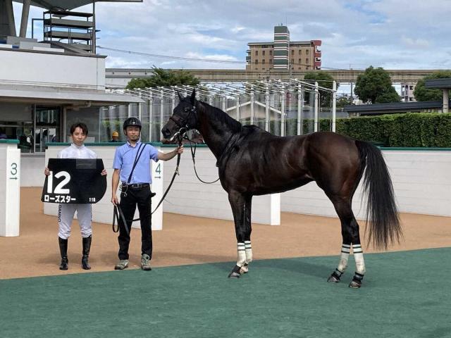 【阿蘇S】ローズスター　追い比べ制した　団野「思った以上のパフォーマンスでした」