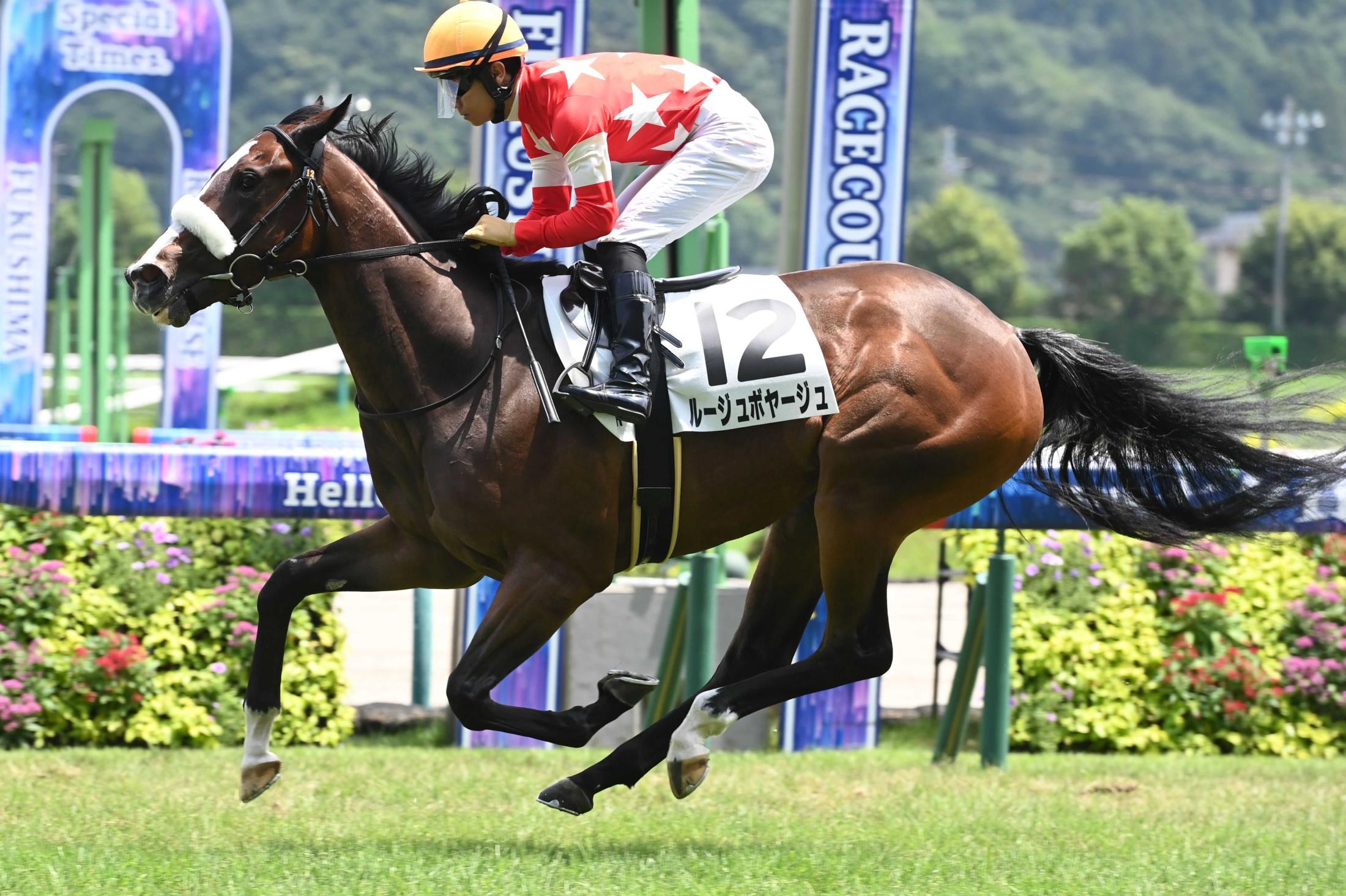 【新馬戦】ルージュボヤージュ　４馬身差圧勝　新種牡馬コントレイル産駒ＪＲＡ初星　早くも暮れのＧ１に照準