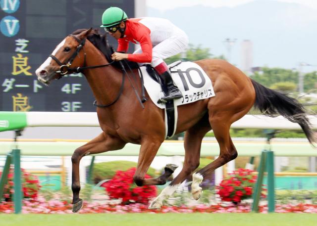 【函館2歳S・理貴の特注馬】センスの良さ光るブラックチャリス　陣営「走るとは思っていたけど想像以上」