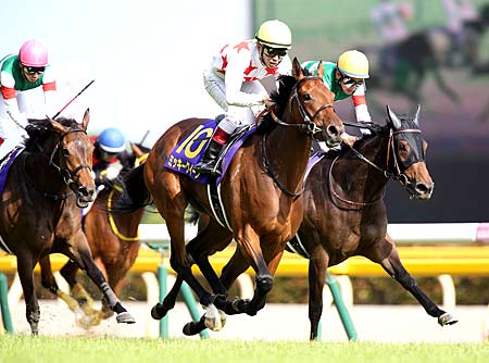 Gi馬3頭が集結 注目の秋華賞前哨戦 ローズsの見どころ 競馬ニュース Netkeiba Com