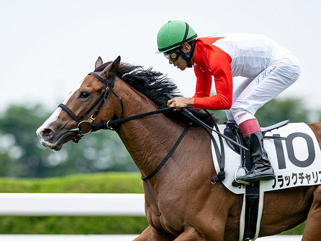 【函館2歳S想定騎手】ブラックチャリスは浜中俊騎手、カイショーは池添謙一騎手