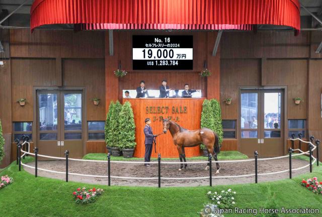 【セレクトセール2025】藤田晋オーナーの今年最初の購入はフライトライン産駒の牡馬　「セルフレスリーの2024」を1億9000万円で落札!