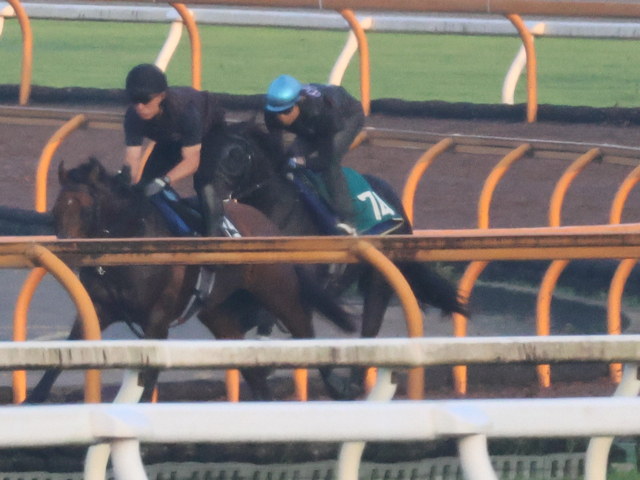 クロノジェネシスの初仔ベレシート 斉藤崇師「体は立派で体型は母似」/関西馬メイクデビュー情報
