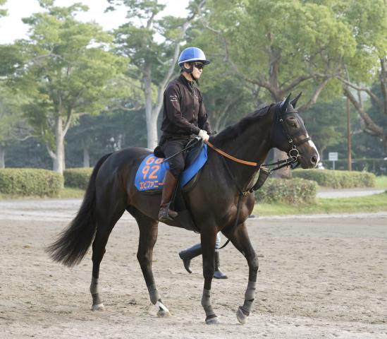 【小倉記念・角田の特注馬】落鉄&不向きな舞台の前走で大敗したエピファニー　得意の小倉なら巻き返しだ
