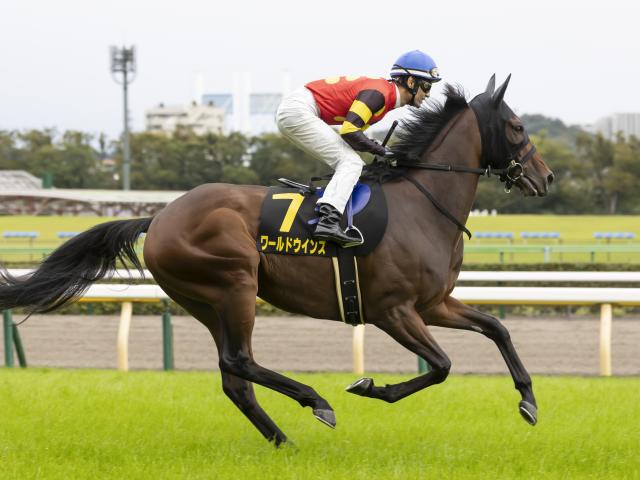 【先週のJRA抹消馬】24年六甲Sで2着のワールドウインズ、障害で活躍したパトリックなど