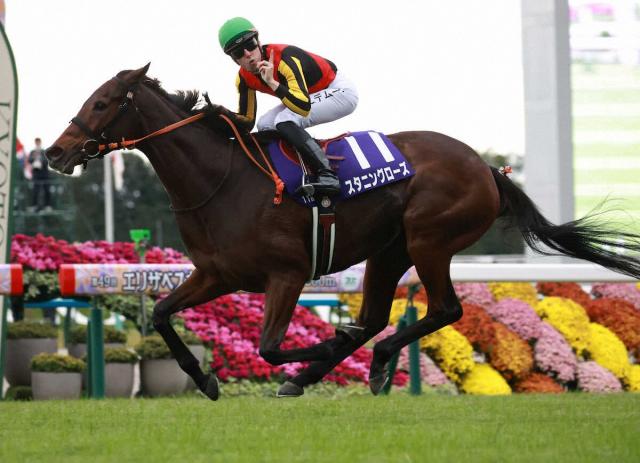ナミュール、スタニングの初交配相手は?