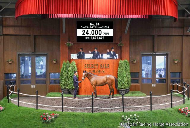 【セレクトセール2025】グレナディアガーズ半妹のサートゥルナーリア産駒が2億4000万円で落札