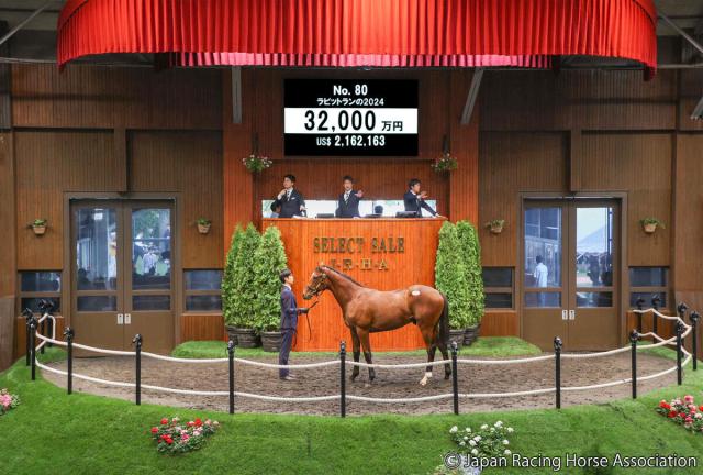【セレクトセール2025】止まらない“キタサンバブル”　牡馬の「ラビットランの2024」3億2000万円で落札