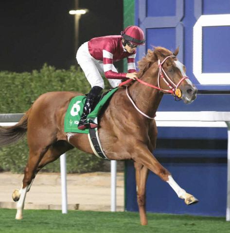 シンエンペラー　凱旋門賞に再挑戦　鞍上は坂井