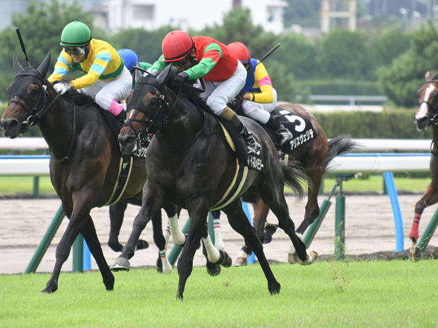 【AI予想・小倉記念】ハンデ戦らしく一筋縄ではいかない一戦！ 前走人気薄でも侮れない人工知能の本命候補