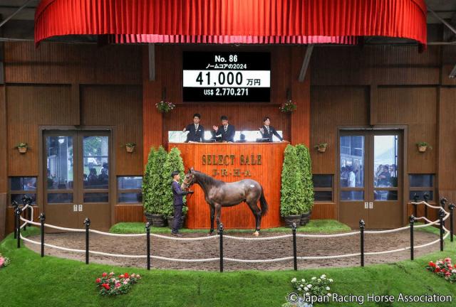 【セレクトセール】母ノームコアはG12勝!3番目の子、キタサンブラック産駒の牡馬が4億1000万円!