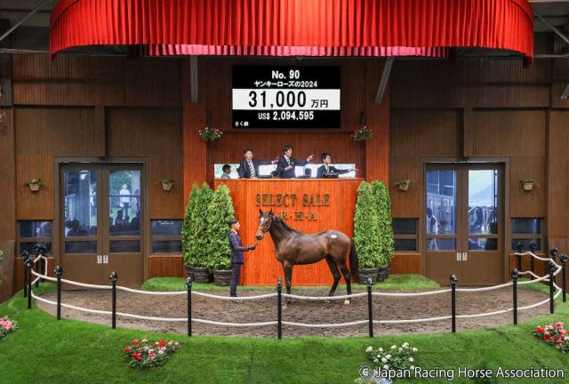 【セレクトセール】牝馬3冠リバティアイランドの半弟・サートゥルナーリア産駒の牡馬は3億超え!