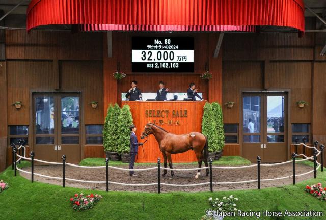 【セレクトセール】母は17年ローズS覇者ラビットラン!キタサンブラック産駒の牡馬が3億超え!