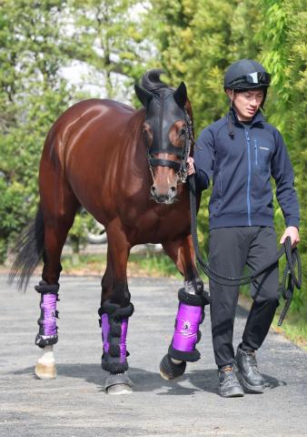 【注目馬動向】アドマイヤズームは坂井瑠星騎手と新コンビ　スワンSからマイルCSへ