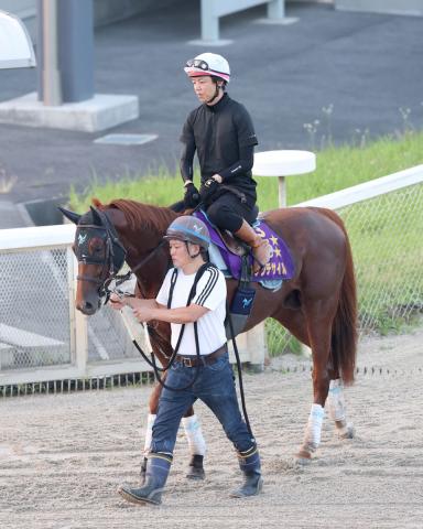 【注目馬動向】ダノンデサイルはインターナショナルSの後は国内専念予定　安田調教師「ジャパンCなどが選択肢」