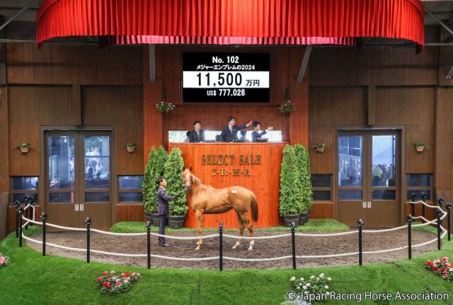 【セレクトセール】母はG12勝のメジャーエンブレム・エピファネイア産駒の牝馬は1億超え!