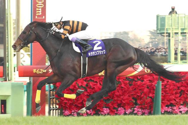【セレクトセール2025】キタサンブラック産駒の1歳上場馬11頭すべての億超えはならず　2日目は当歳13頭がスタンバイ