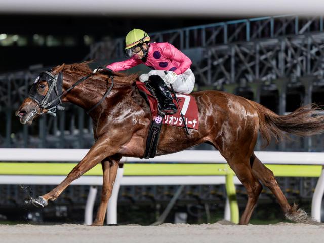 【大井・優駿スプリント枠順】トライアルを制したリオンダリーナは6枠12番、無傷5連勝中のブライトフラッシュは3枠5番