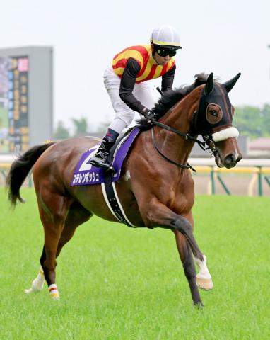 【注目馬動向】ヴィクトリアマイル8着のステレンボッシュは札幌記念へ