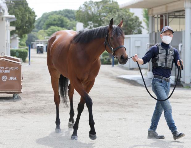 【注目馬動向】安田記念4着のブレイディヴェーグは新潟記念へ　23年のエリザベス女王杯馬