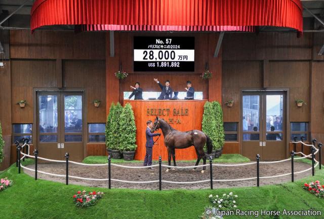 【セレクトセール】コントレイル産駒の牡馬が2億8000万円!