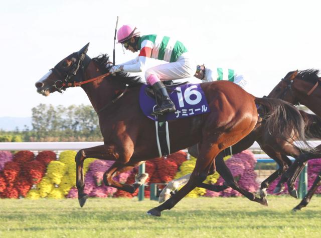 23年のマイルCS馬ナミュール　初年度は無敗の3冠馬コントレイルと交配し受胎中