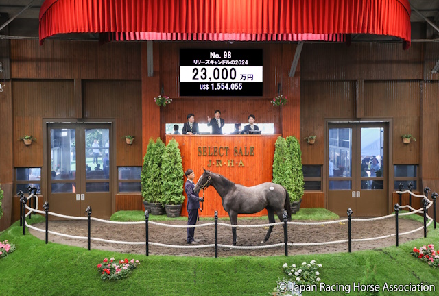 【セレクトセール2025】父はキズナ×母が仏G1馬の「リリーズキャンドルの2024」は2.3億円 米原恭淳氏「この子と決めていた」