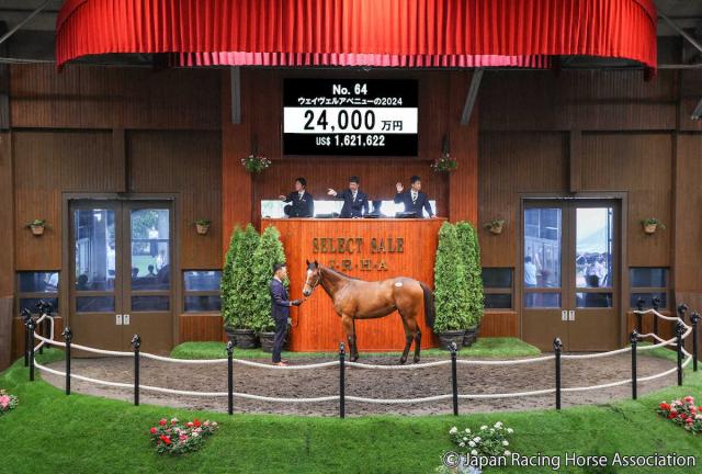 【セレクトセール】グレナディアガーズの妹!サートゥルナーリア産駒の牝馬が2億4000万円!