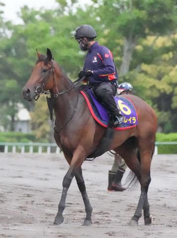 昨年の有馬記念覇者レガレイラは札幌記念かオールカマーを視野