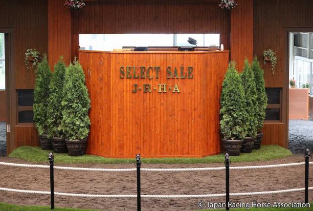 【セレクトセール】初日最後の上場馬はG13勝リスグラシューの弟!エフフォーリアの牡馬が1億7000万