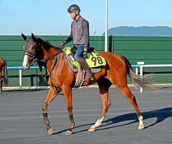 【函館2歳S】新馬レコード!浜中期待のブラックチャリス　母が果たせなかった重賞V見据える