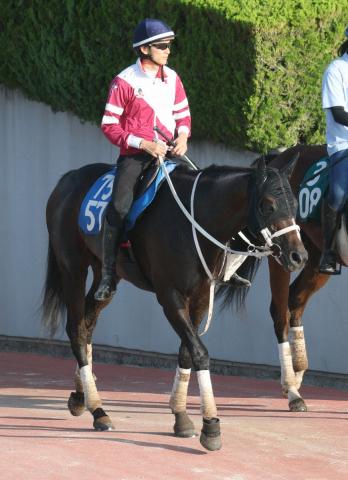 【小倉記念】前走新潟大賞典3着の6歳馬ハピを中心視　ハンデ戦らしく伏兵の大駆け頻発