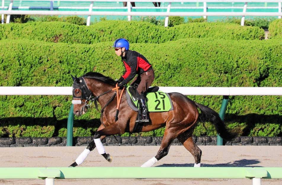 【函館２歳Ｓ】カイショー　快速魅せる！世代最初の重賞タイトル奪取へ　池添「千二も問題ない」