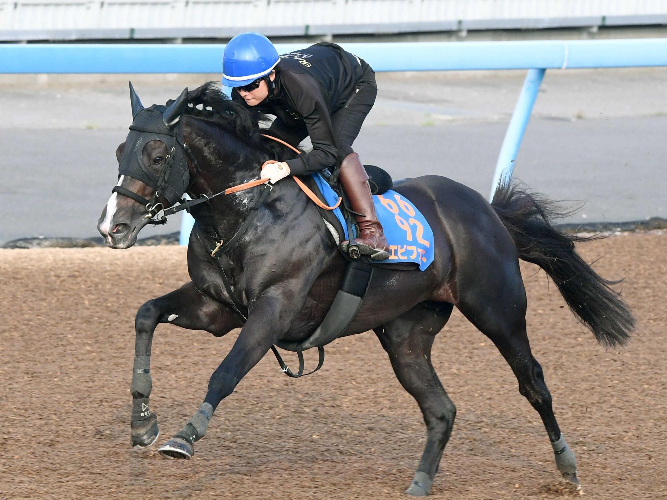【小倉記念】エピファニー　得意小倉で巻き返す　２４年小倉大賞典Ｖ　杉原「今回はやる気十分」