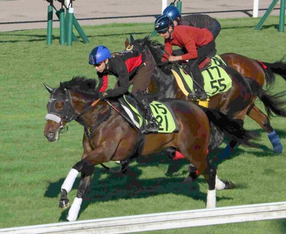 【函館2歳S】初陣で函館芝1000メートルをレコード勝ち　カイショーが世代最初の重賞ウィナーへ準備万端　