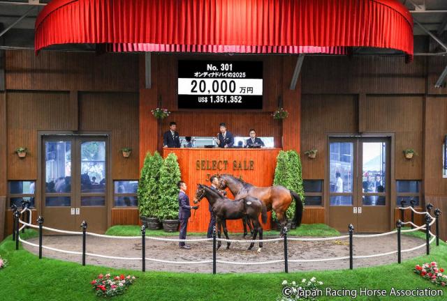 【セレクトセール】2日目最初の上場馬「オンディナドバイの2025」から2億円　父キタサンブラック