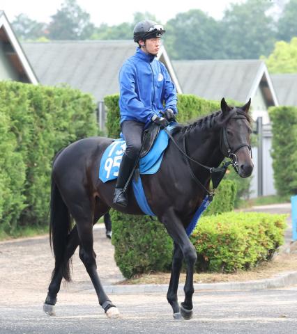 【小倉記念】7歳馬ディープモンスターは重賞14度目の挑戦で悲願の初Vへ　陣営「小回りはむしろ合う」
