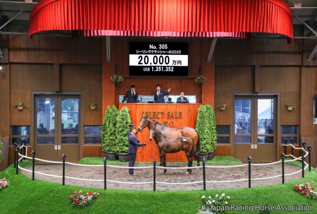 【セレクトセール2025】ダノックスがエピファネイアの牡馬を2億円で落札　母は米G1馬