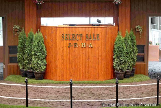 【セレクトセール2025】イクイノックス初年度産駒の最初の上場馬は2億3000万円で金子真人オーナーが落札