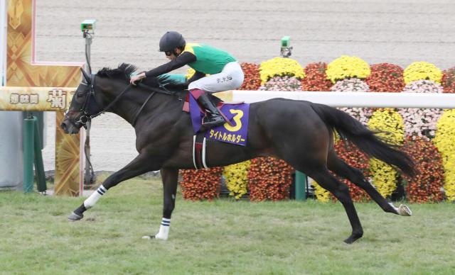 【セレクトセール2025】新種牡馬タイトルホルダーの牡馬が3500万円で落札　現役時にG1・3勝