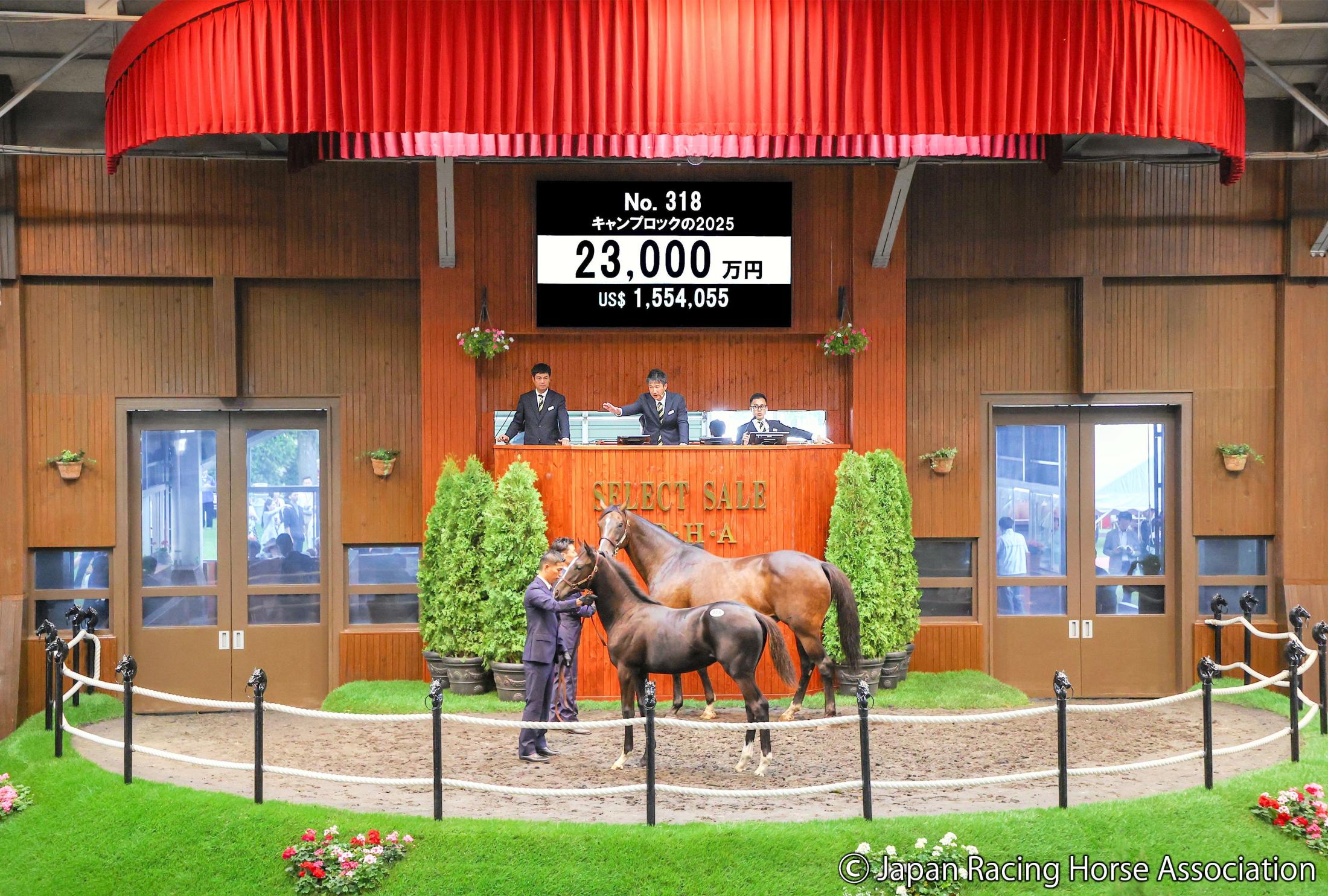 【セレクトセール２５】新種牡馬イクイノックス産駒はいきなり２億３０００万円で落札　落札者は金子真人ＨＤ株式会社　キャンプロック２５　イクイノックス産駒は２４頭が上場