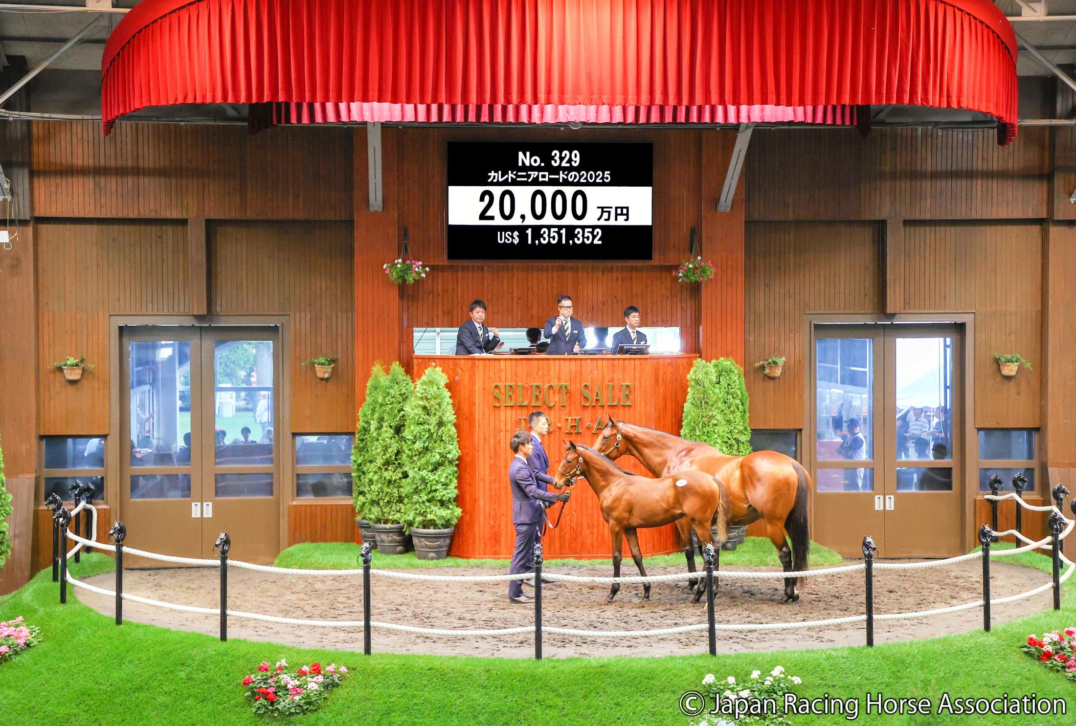 【セレクトセール２５】注目のイクイノックス産駒は２頭続けて２億円台　母は米Ｇ１馬　カレドニアロード２５