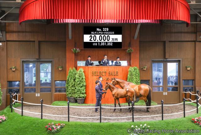 【セレクトセール2025】母は米2歳女王　世界的良血のイクイノックス牡馬が2億円で落札