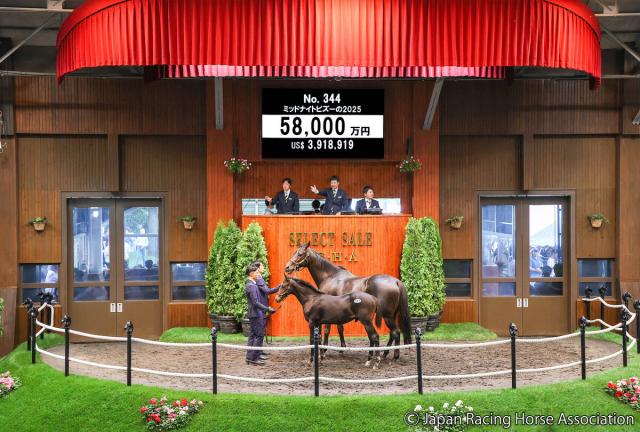 【セレクトセール2025】イクイノックスの牡馬が史上3位タイの高額となる5億8000万円で落札
