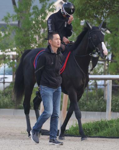 セレクトセールの目玉イクイノックス産駒は歴代3位タイ5億8000万円など高評価　木村哲調教師「純粋に感動」