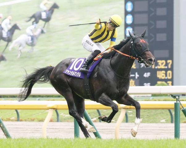 【セレクトセール2025】日本初供用のパレスマリスの牡馬は2800万円で落札　昨年の種付けは最多の262頭