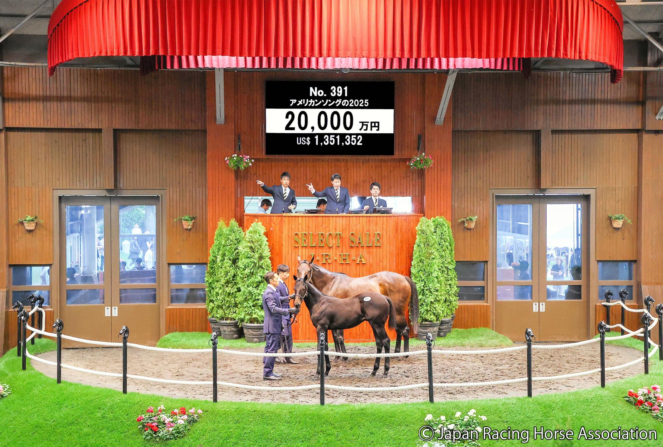 【セレクトセール２５】競馬界にもオオタニ旋風？オオタニサーンの半弟アメリカンソング２５が２億円で落札　キタサンブラック産駒　落札者は株式会社モンレーヴ