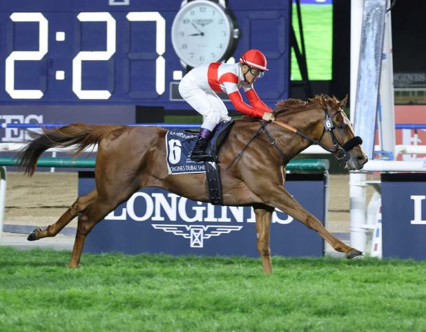 【セレクトセール2025】米G1・5勝馬コディーズウィッシュの牡馬をダビスタの薗部博之氏が落札　ダノンデサイルの近親